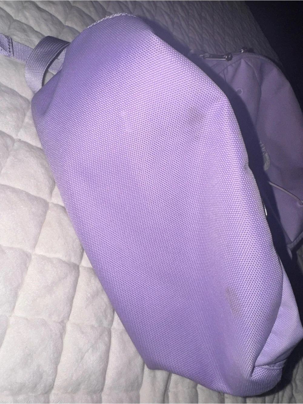 The North Face Jester Backpack in Lavender